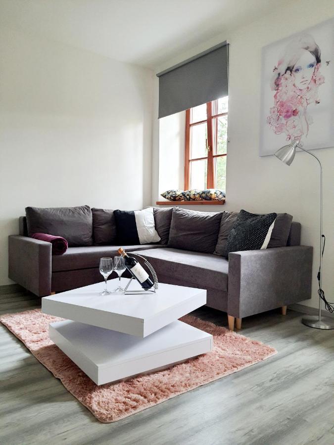 Apartman Spalovka Novy Bor Bagian luar foto