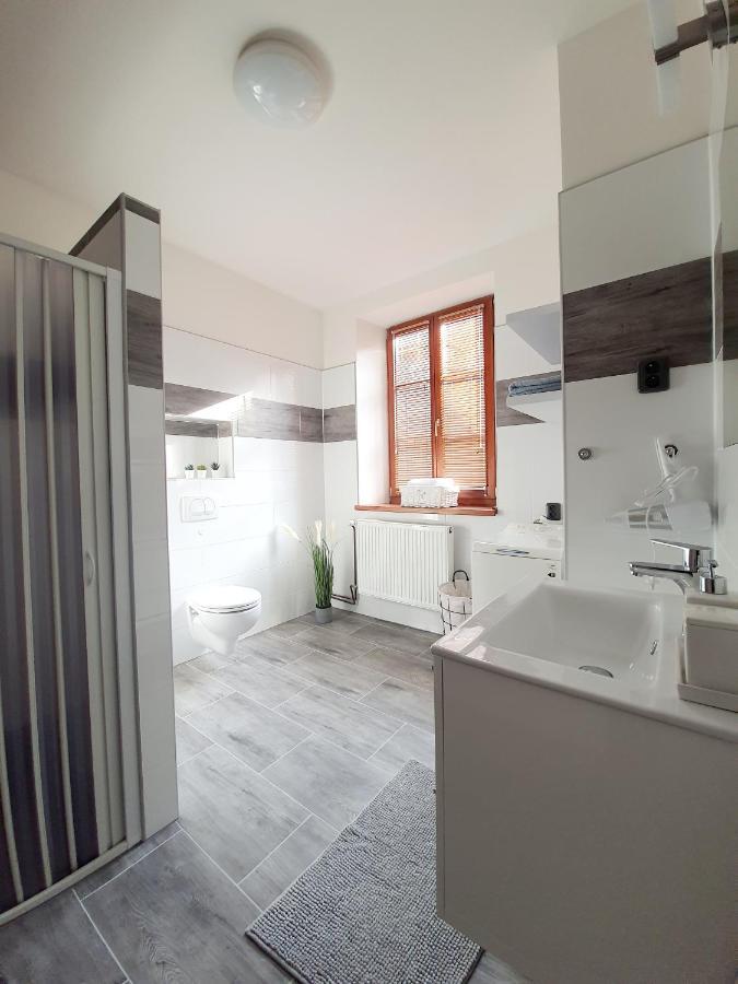 Apartman Spalovka Novy Bor Bagian luar foto